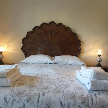 View Camelias House By Sixtyfive Boutique 埃里塞拉