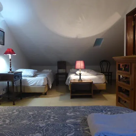 View Camelias House By Sixtyfive Boutique 埃里塞拉