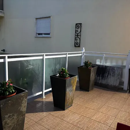 View Camelias House By Sixtyfive Boutique 埃里塞拉