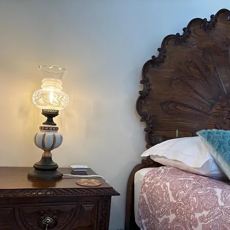 View Camelias House By Sixtyfive Boutique 度假居