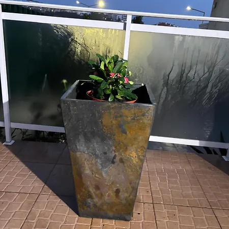 View Camelias House By Sixtyfive Boutique