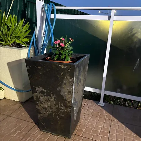 度假居 View Camelias House By Sixtyfive Boutique