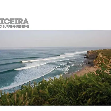 View Camelias House By Sixtyfive Boutique