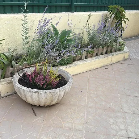 View Camelias House By Sixtyfive Boutique Casa vacanze *